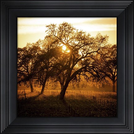 Framed Let There be Light Print