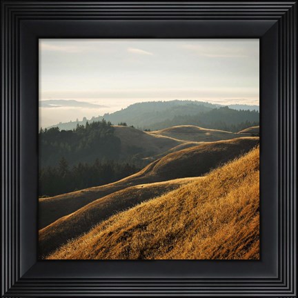Framed Marin Hills Print