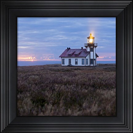 Framed Point Cabrillo Light Station Print