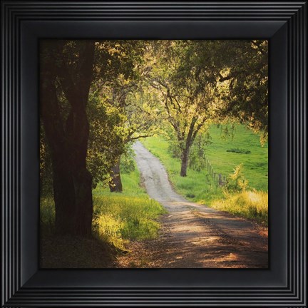 Framed Springtime Afternoon Print