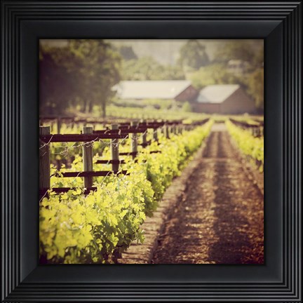 Framed New Vintage Print