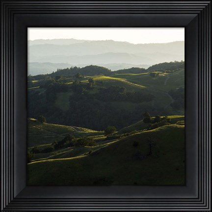 Framed Vineyard Hills Print