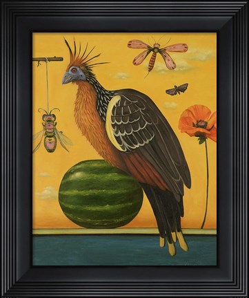Framed Hoatzin Print