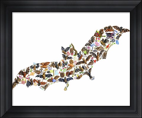 Framed Bat Print