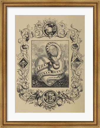 Framed Serpent Print
