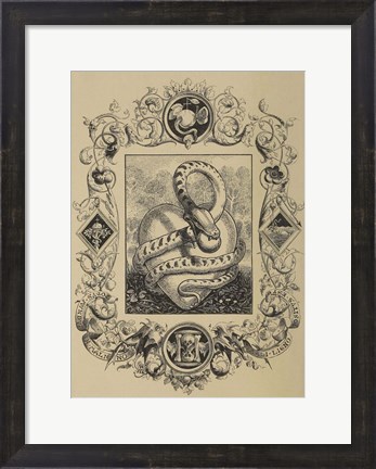 Framed Serpent Print