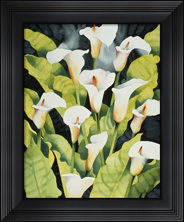 Framed Midnight Callalilies Print