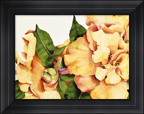 Framed Orange Blossom Print