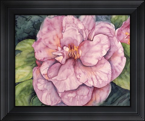 Framed Pink Camilla Print