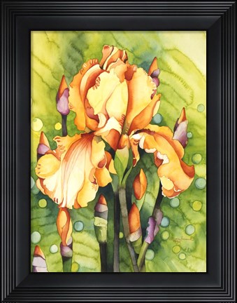 Framed Yellow Iris Print