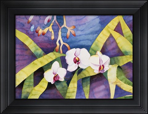 Framed Water Orchids Print