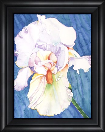 Framed White Iris Print