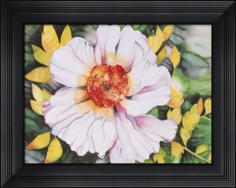Framed New Poppy Print