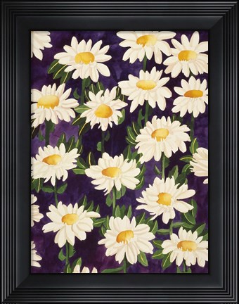 Framed Shasta Daisies Print