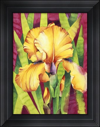 Framed Yellow Iris W/ Maroon Back Print