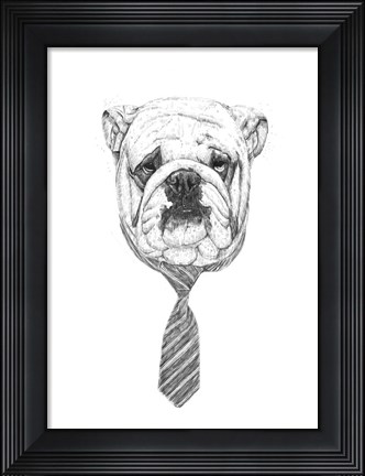 Framed Bulldog Print