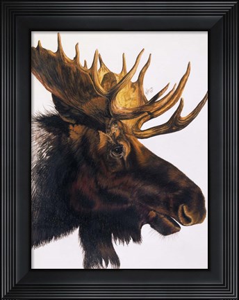 Framed Bullwinkle Print