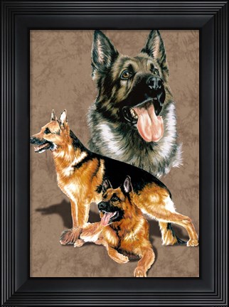 Framed German Shepherd Print