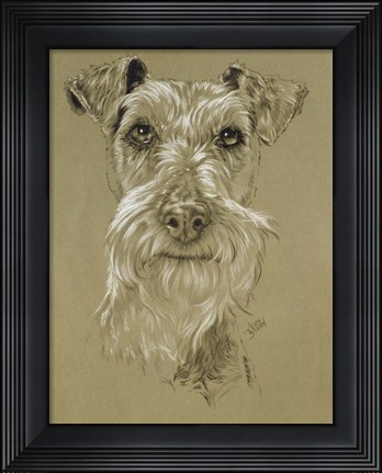 Framed Irish Terrier Print