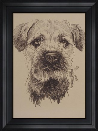 Framed Border Terrier Print