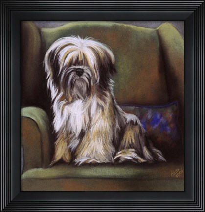Framed Tibetan Terrier Print