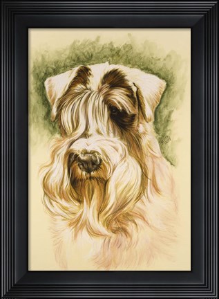 Framed Sealyham Terrier Print