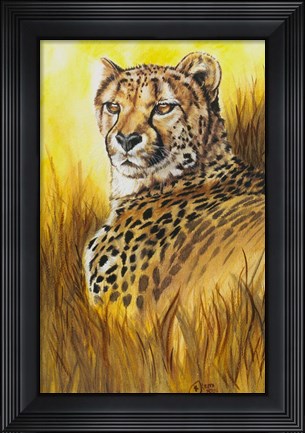 Framed Expeditions Print