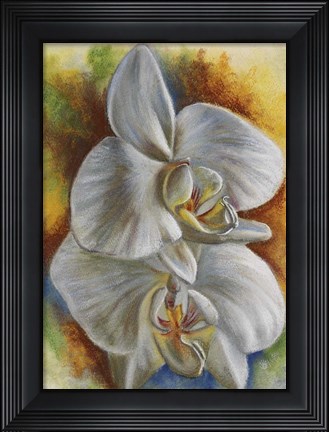 Framed Evening Orchid Print