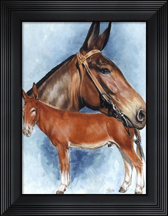 Framed Donkey Print