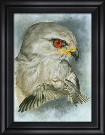 Framed Velocity Print