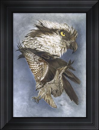 Framed Assail Print