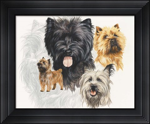 Framed Cairn Terrier Print