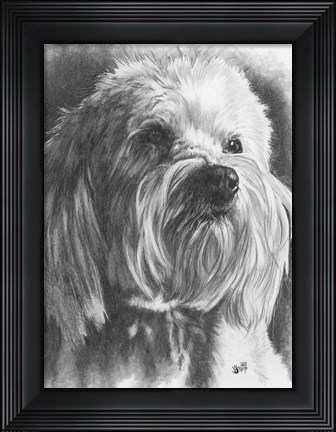 Framed Schnoodle Print