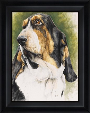 Framed Basset Hound Print