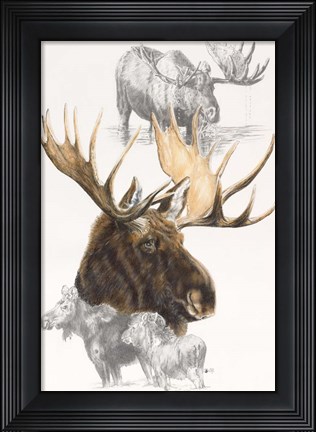 Framed Moose Print