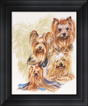 Framed Yorkshire Terrier Print