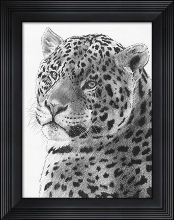Framed Placid Print