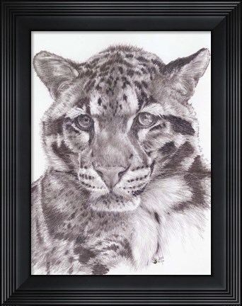 Framed Bold Print