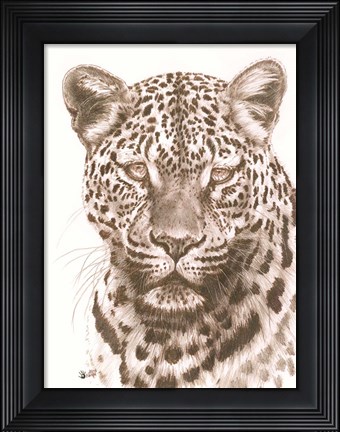 Framed Potency Print