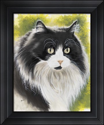 Framed Maine Coon Print