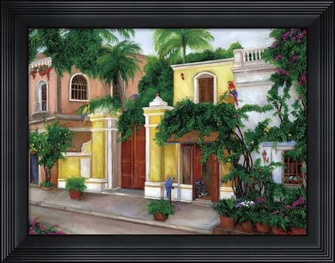 Framed Hacienda Parrots Print