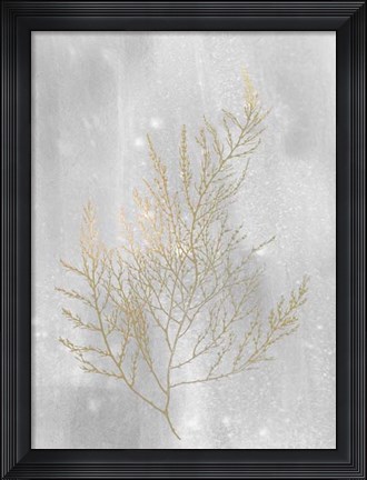 Framed Gold Foil Algae II on Grey Wash Print