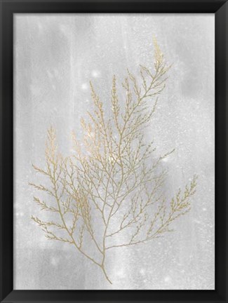 Framed Gold Foil Algae II on Grey Wash Print