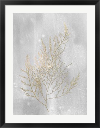 Framed Gold Foil Algae II on Grey Wash Print