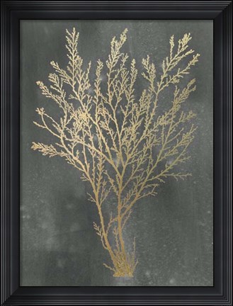 Framed Gold Foil Algae I on Black Wash Print