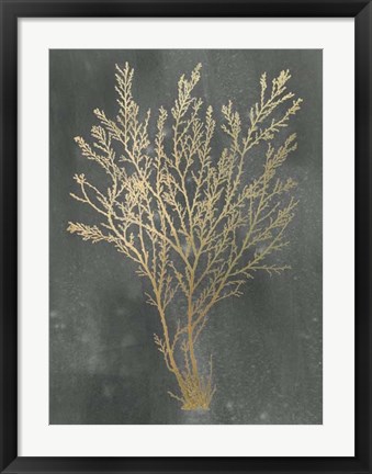 Framed Gold Foil Algae I on Black Wash Print