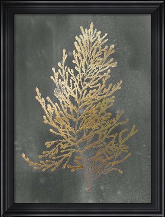 Framed Gold Foil Algae IV on Black Wash Print