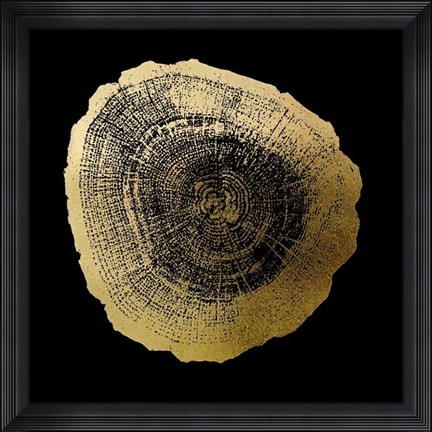 Framed Gold Foil Tree Ring IV on Black Print