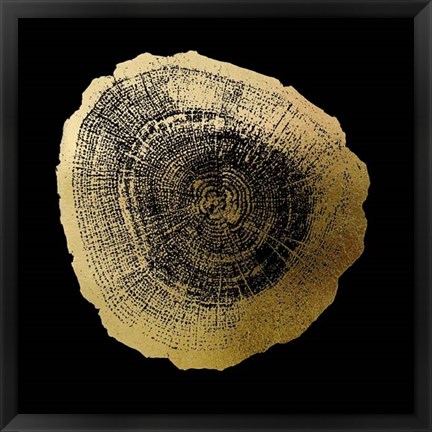 Framed Gold Foil Tree Ring IV on Black Print
