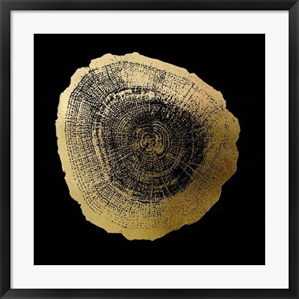 Framed Gold Foil Tree Ring IV on Black Print